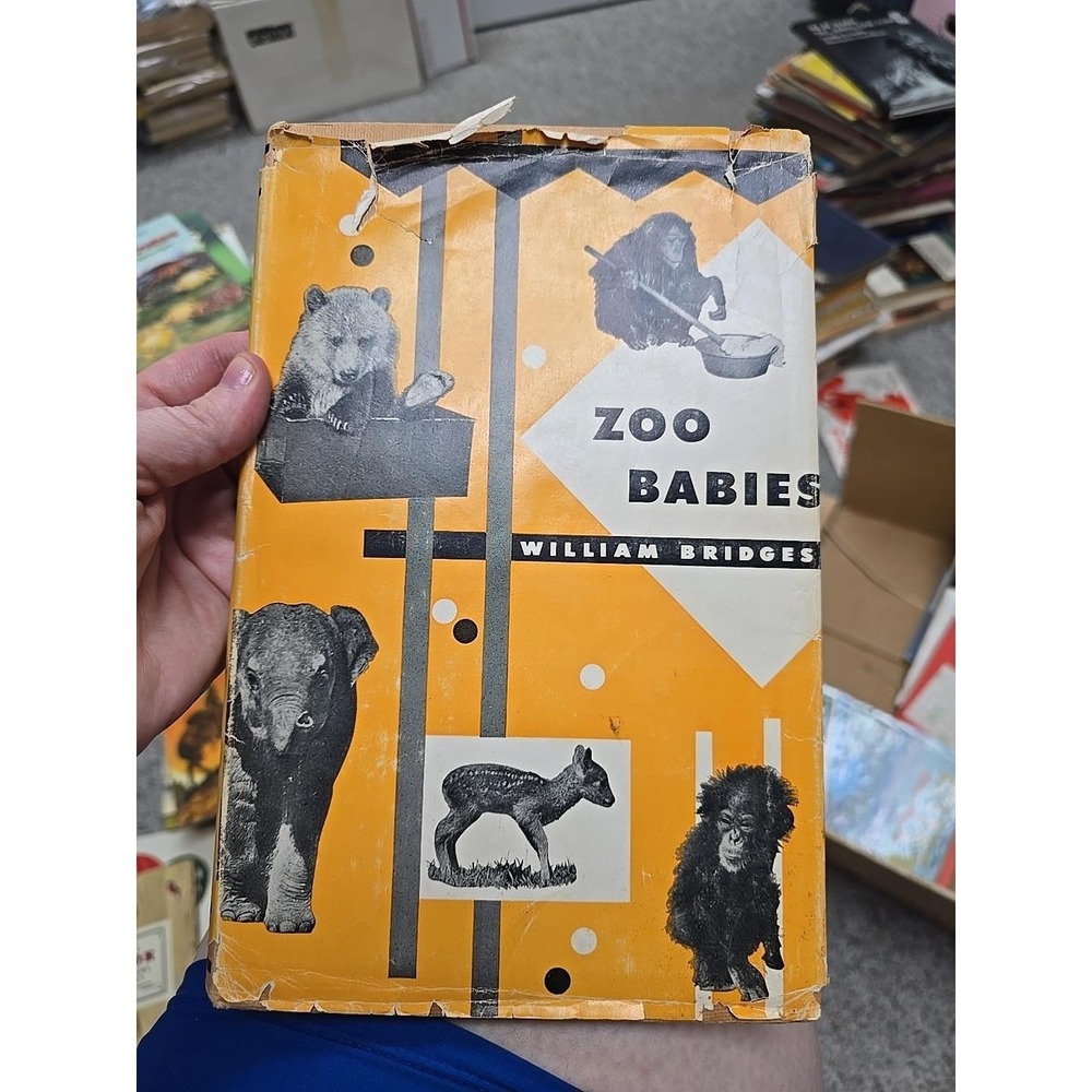 Zoo Babies by William Bridges; Animal Picture/Storybook 1953 HB